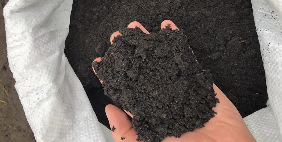 Український чернозем. Росія вивозить з України та перепродає у своїх магазин