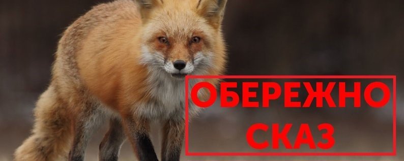 "Сказ: Небезпечна Інфекційна Хвороба, Що Завершується Смертю – Загроза для Людей і Тварин"