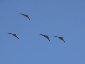 Повітряні Сили