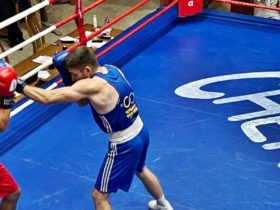 чемпіонат з боксу