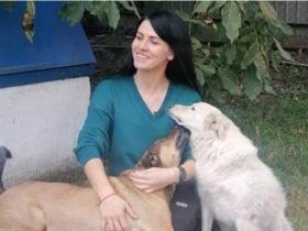 волонтерка з Покровська рятує скалічених тварин
