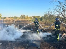 Вогнем знищено понад 7 га рослинного світу