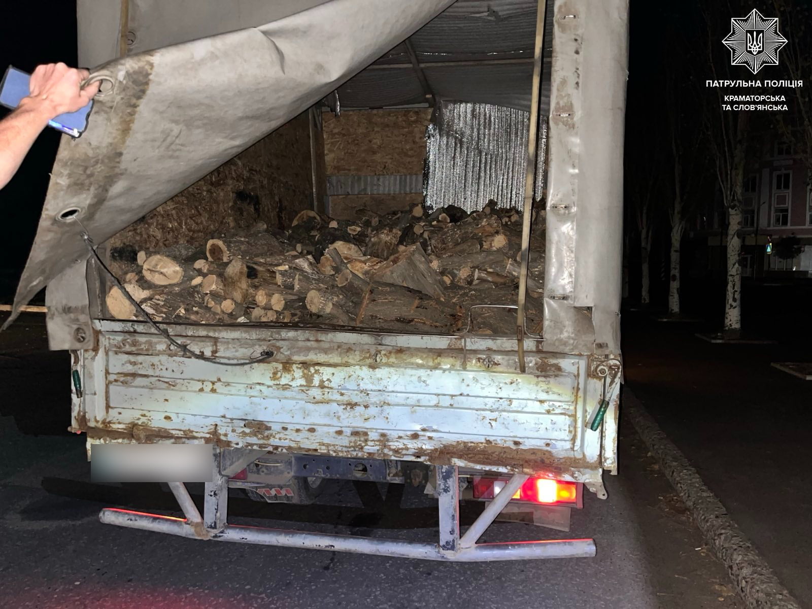 спиляні стовбури дерев