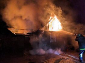 пожежа на Донеччині