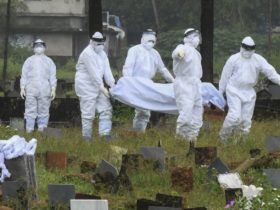 В Індії спалах смертельного вірусу: вакцини проти інфекції не існує