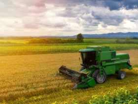 USAID виділяє $1 млн для підтримки українських фермерів