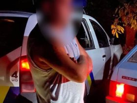 Пьяний Водій