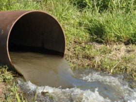 Казений Торець