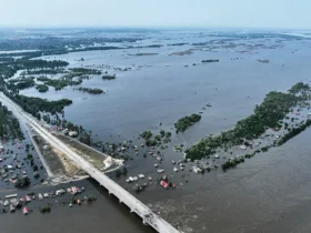 Постраждалі від підриву Каховської ГЕС: термін подання заяв на компенсацію за втрачений урожай продовжили