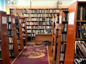 Центральна бібліотека, книги