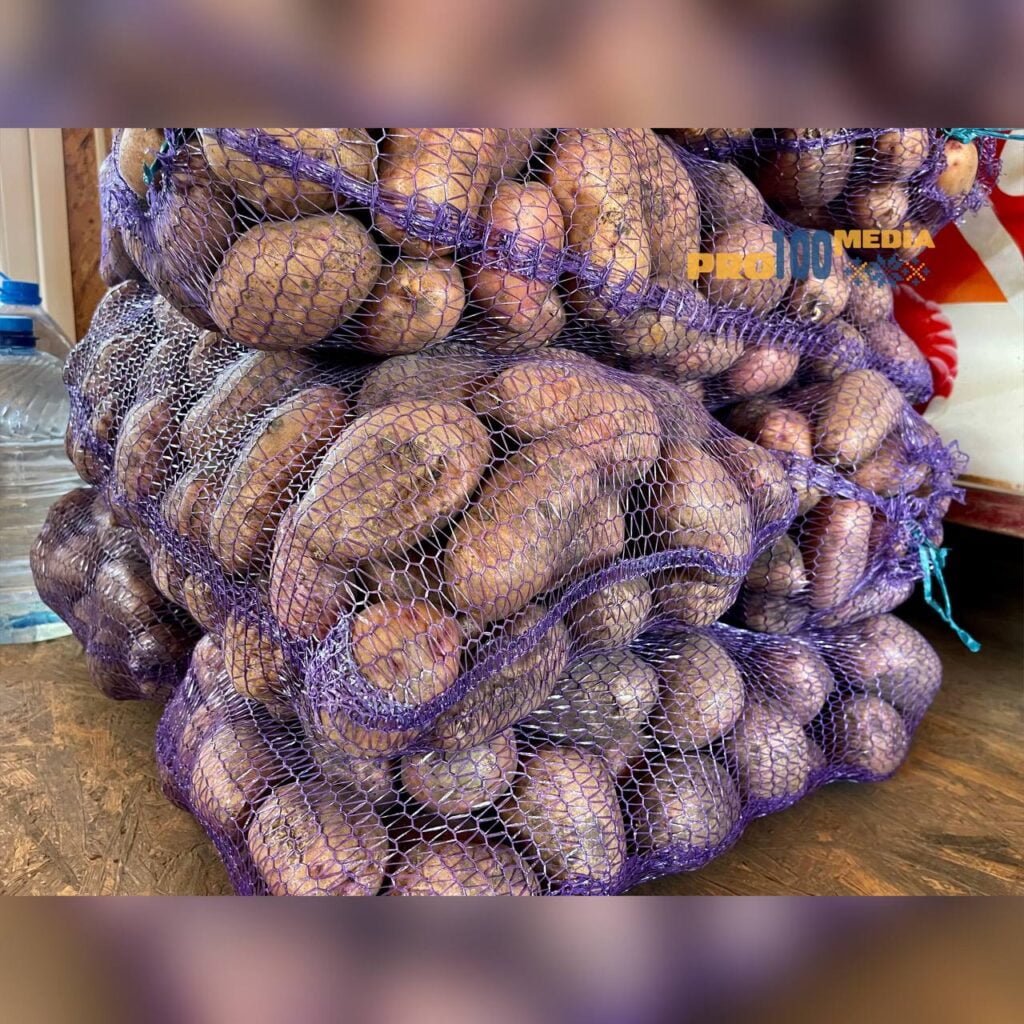 photo 2023 09 20 10 24 52