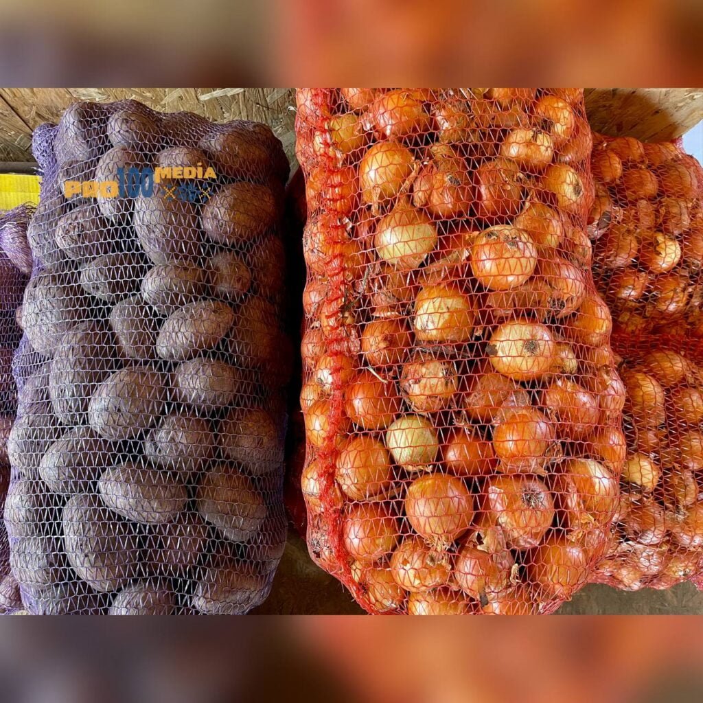 photo 2023 09 20 10 24 55