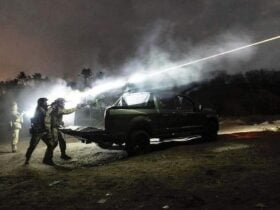 Сили ППО знищили 29 "шахедів" та крилату ракету "Іскандер-К"