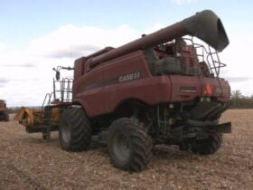 Ціни на зерно, логістика та банкрутства