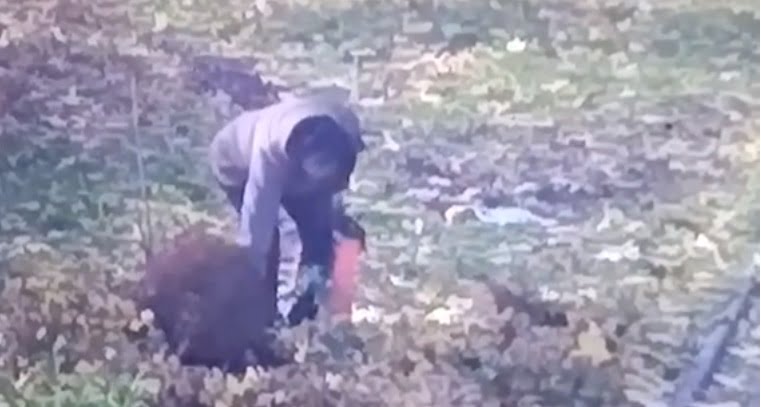 У Краматорську в Family park жінка вкрала квіти