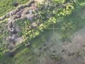 Бійці Краматорського батальйону працюють по ворожим окопам (відео)