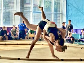 чемпіонат України з сумо