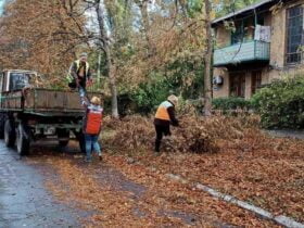 комунальники прибирають опале листя, осінь