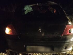 пьяний водій на Peugeot