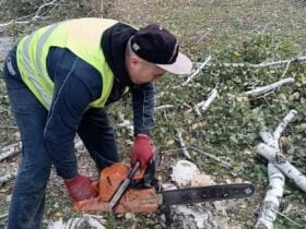 У Краматорську ліквідовують аварійні дерева