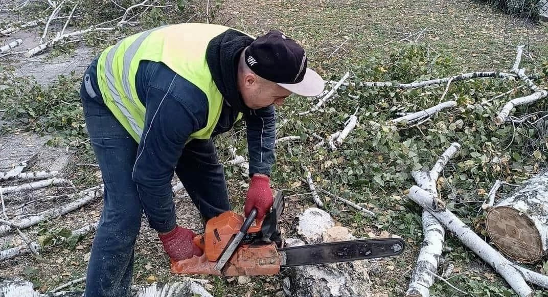 У Краматорську ліквідовують аварійні дерева