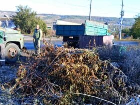 стихійні звалища