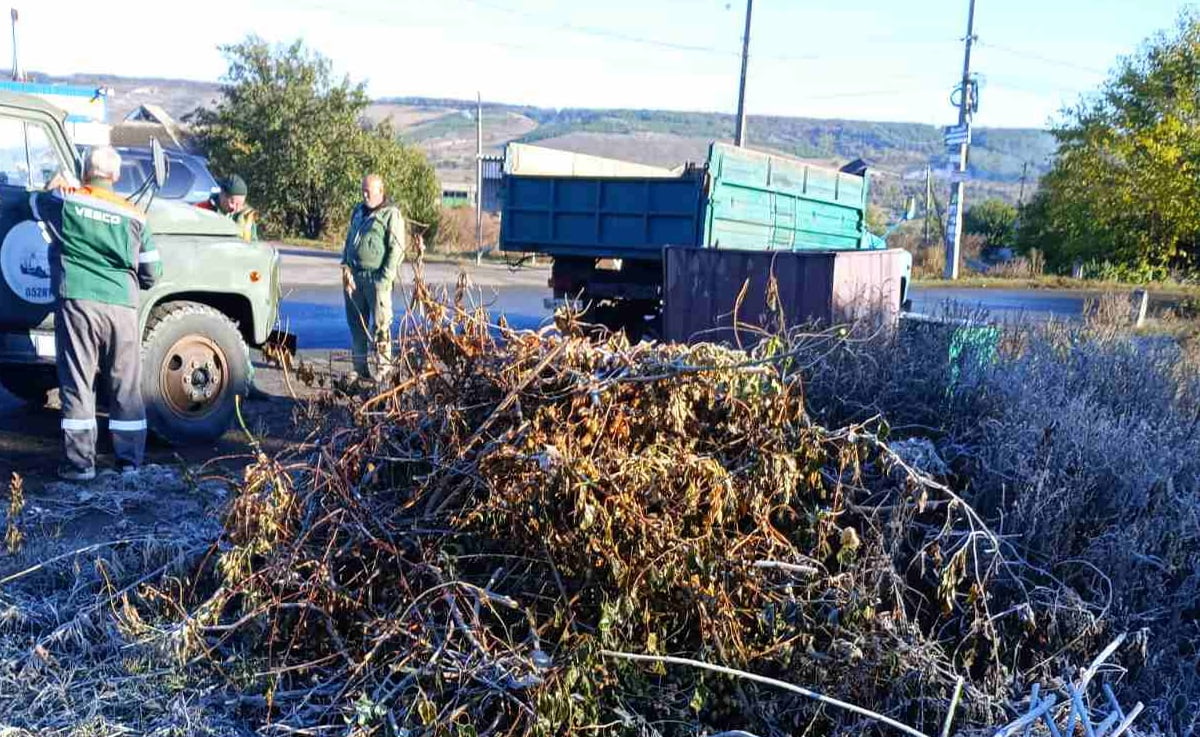 стихійні звалища