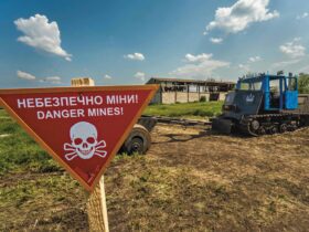 Розмінування полів на Донеччині