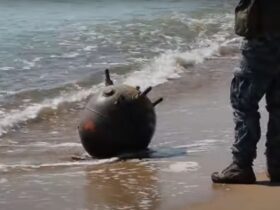 Туреччина, Румунія і Болгарія спільно розміновуватимуть Чорне море
