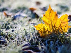 Погода у Краматорську