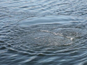 річка, машина потонула