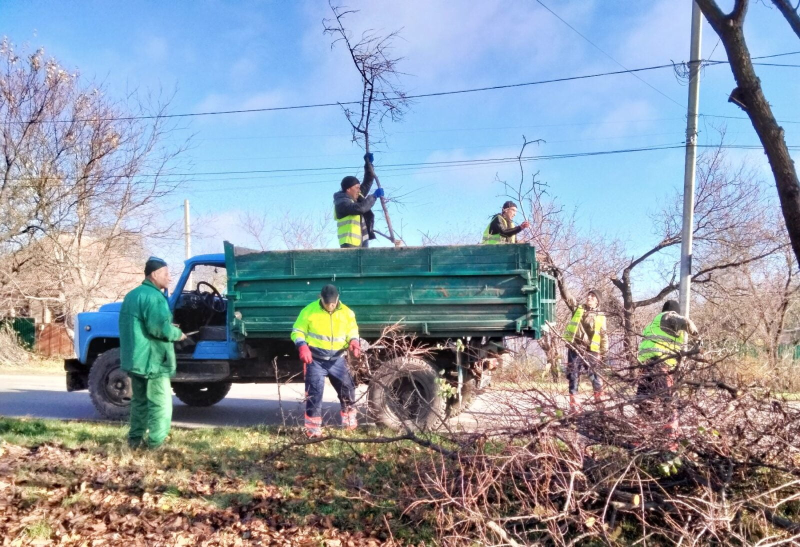 Вивозять обрізане гілля