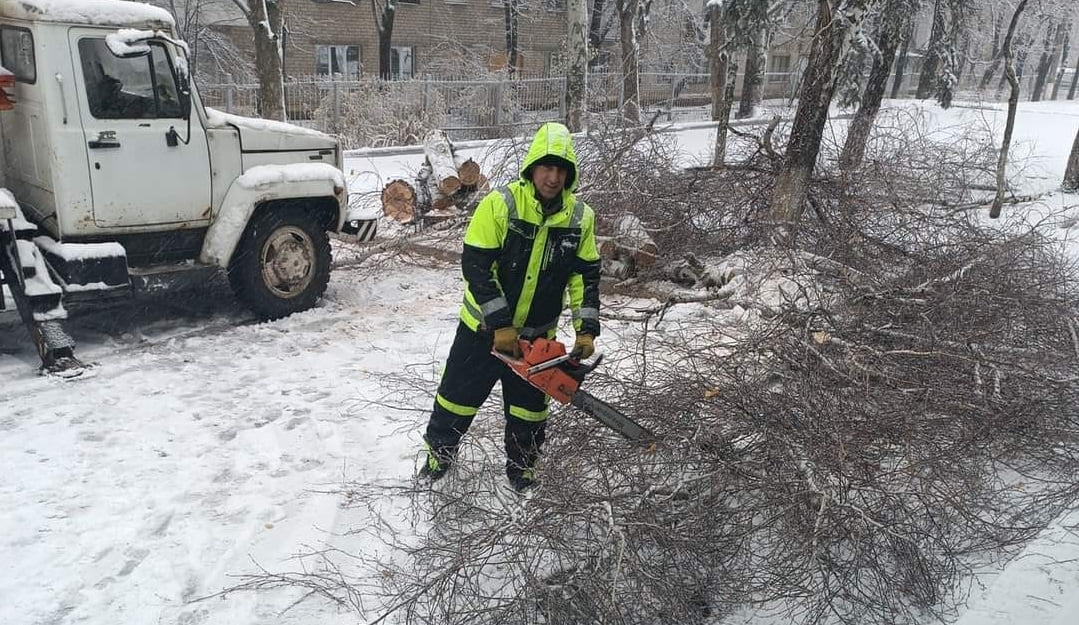 У Краматорську видаляють та обрізають  аварійні дерева