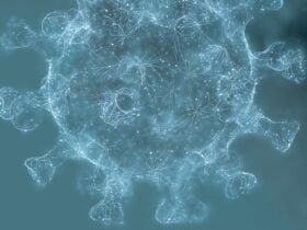 коронавірус «Пірола»