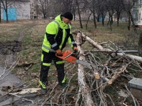 У Краматорську прибирають повалені дерева внаслідок негоди