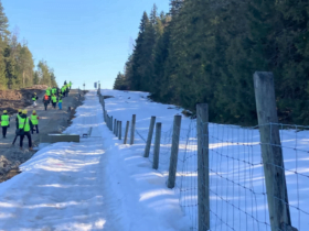 Фінляндія планує повністю закрити кордон з Росією - ЗМІ