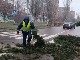 У Краматорську вітер повалив багато дерев