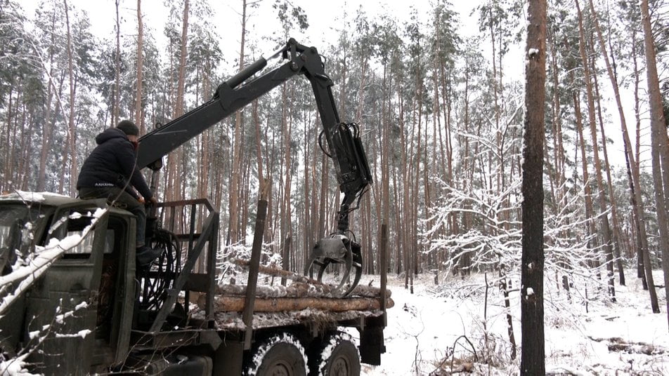 На дрова та фортифікації. Лиманський лісгосп заготовив 16 тисяч кубів деревини