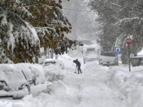 У Болгарії, Румунії та Молдові сильні снігопади: яка ситуація у країнах