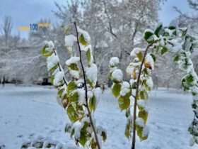 Погода у Краматорську, сніг