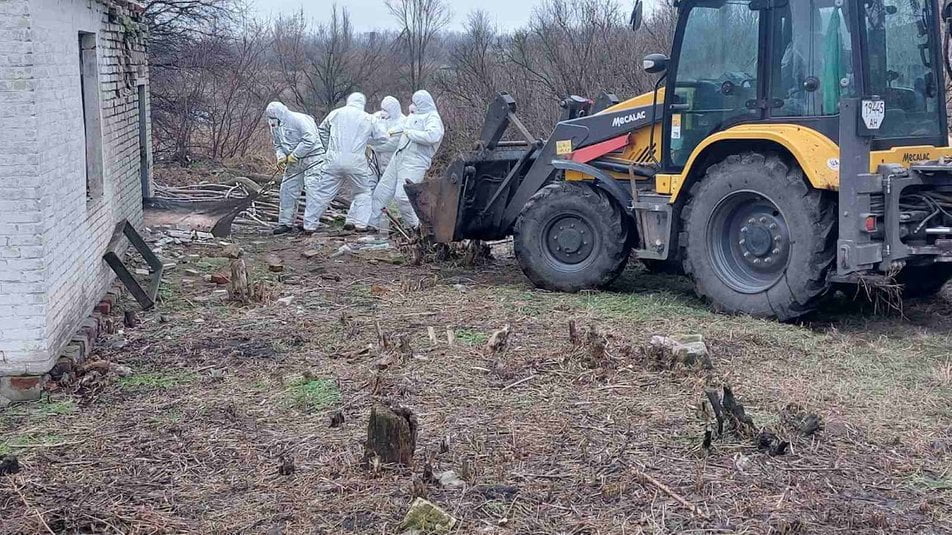 У Краматорському районі зафіксували випадок африканської чуми у свиней — село на карантині