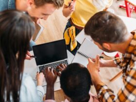 У 2023 році найбільше заяв вступників було подано на «Право»