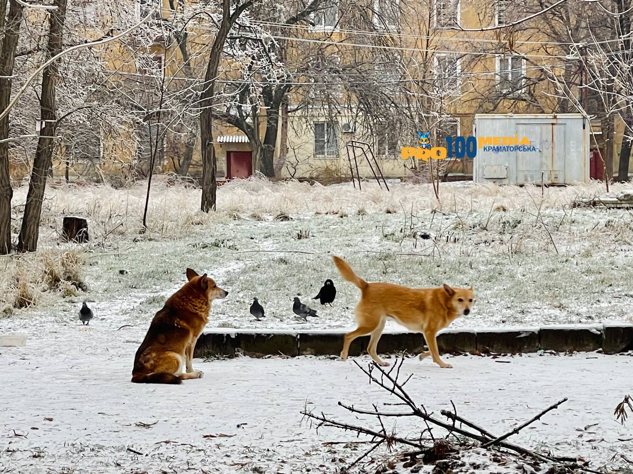 Погода у Краматорську