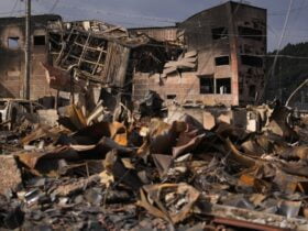 Кількість загиблих внаслідок землетрусів у Японії зросла до 213