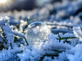 Україну накриє антициклон Hannelore: