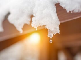 в Україну йде аномальне потепління в лютому