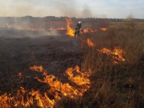 У Краматорському районі горіло два гектари сухої трави