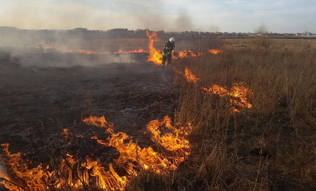 У Краматорському районі горіло два гектари сухої трави