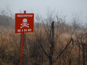 Піротехніки обстежили понад 15 га території на Донеччині за добу