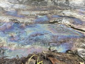 Які збитки від забруднення нафтопродуктами внаслідок удару по нафтобазі у Харкові